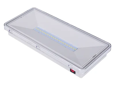 Señal de salida de emergencia LED estanca e impermeable (21 LED SMD2835), LE515-21